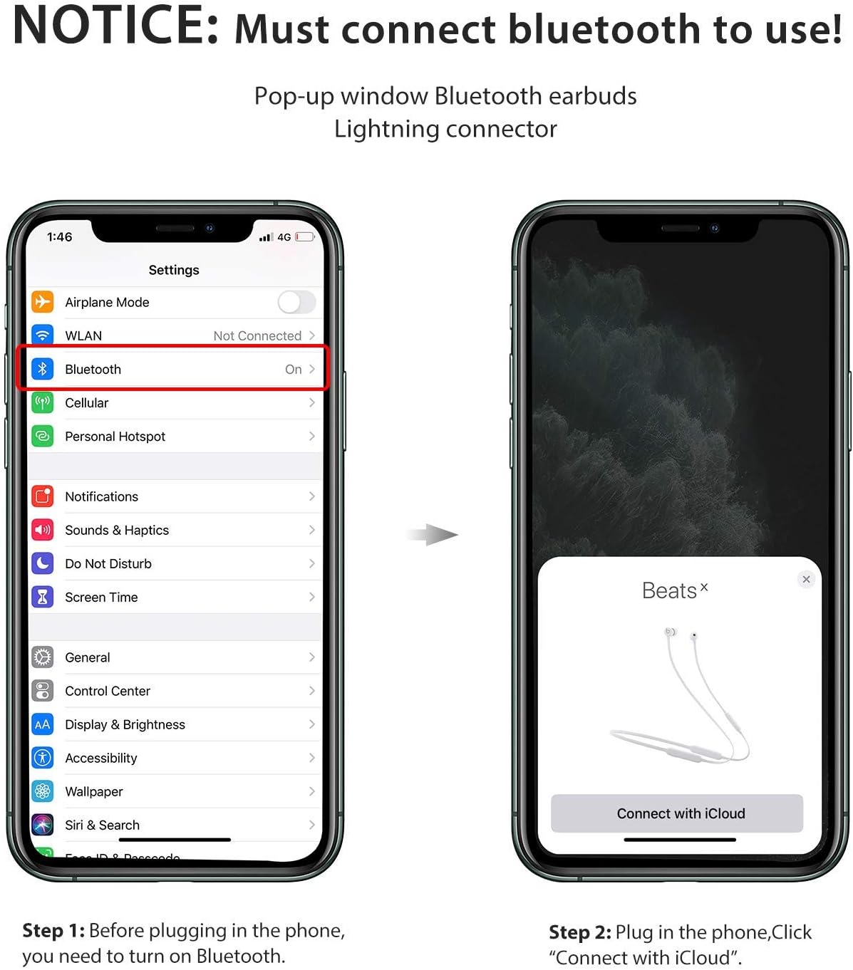 Apple EarPods with Lightning Connector.
